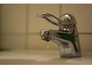 Otimização de Uso de Água em Roseira